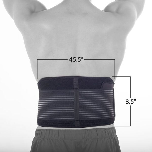 HiDow Pro Belt