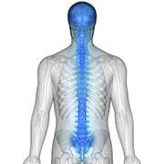 What is Microcurrent therapy?