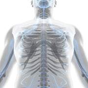 What is EMS?