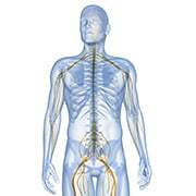 What is the difference between TENS and EMS?