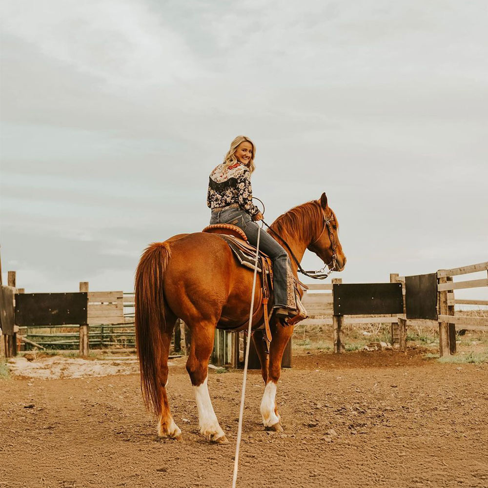 Certified Equine Rehabilitation Practitioner